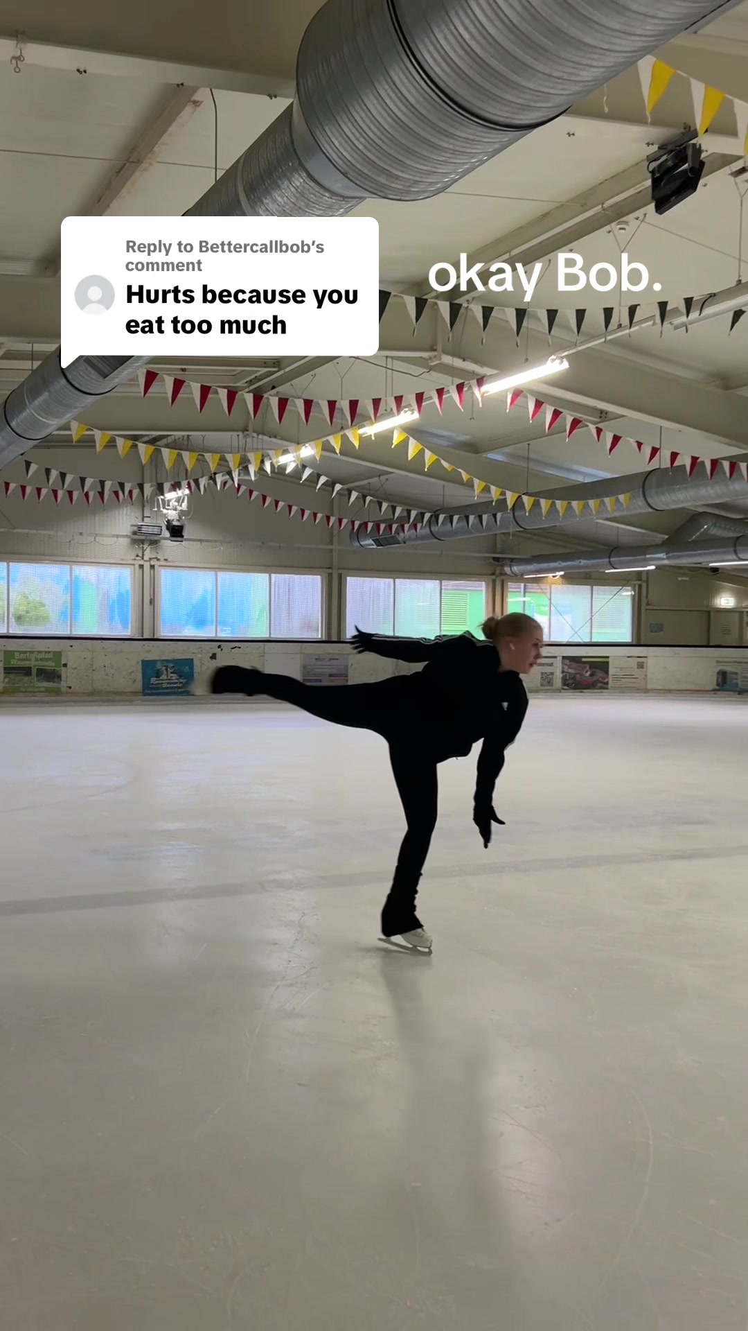 @icehermine