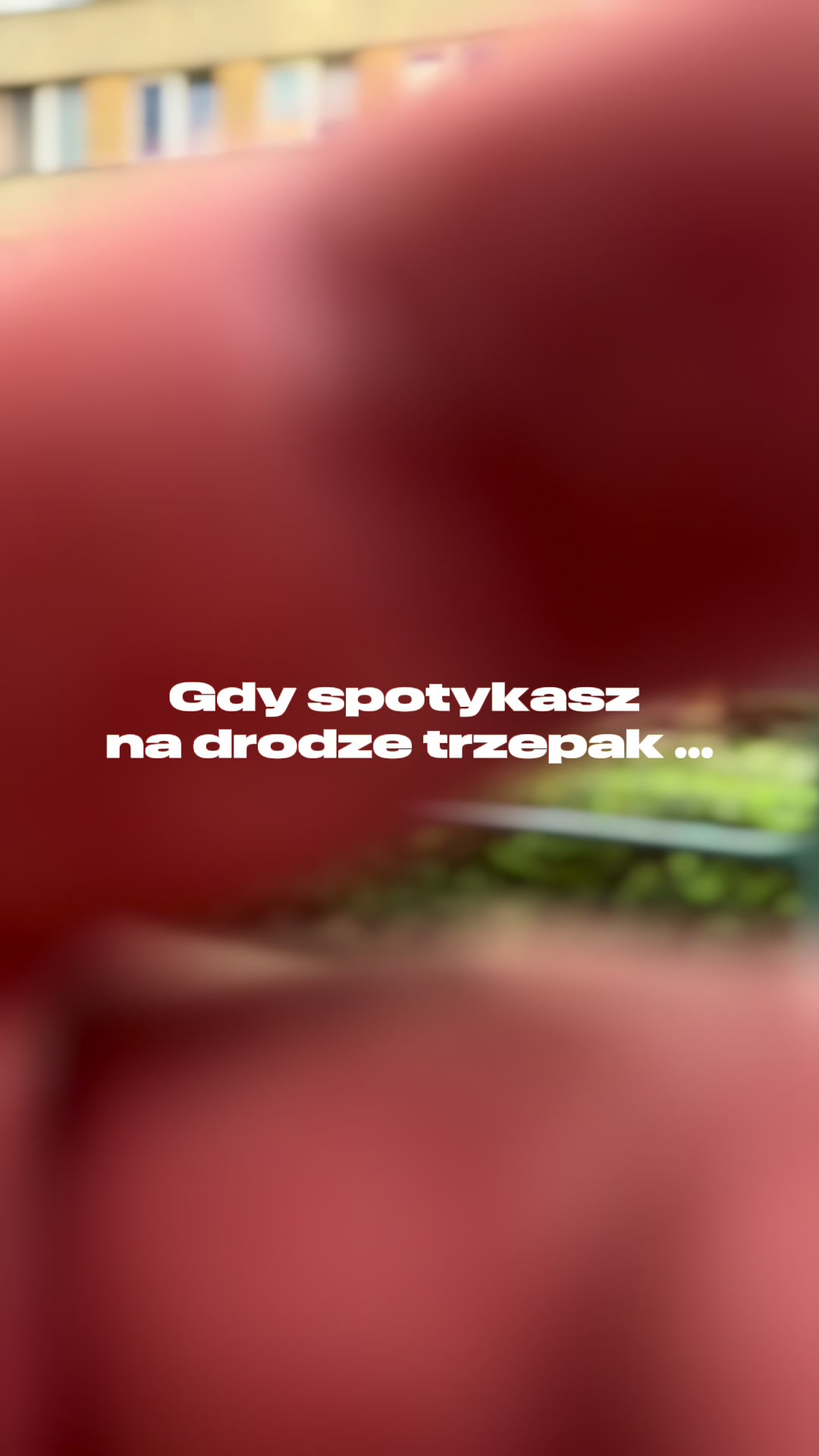 @Monika Gozdzialska