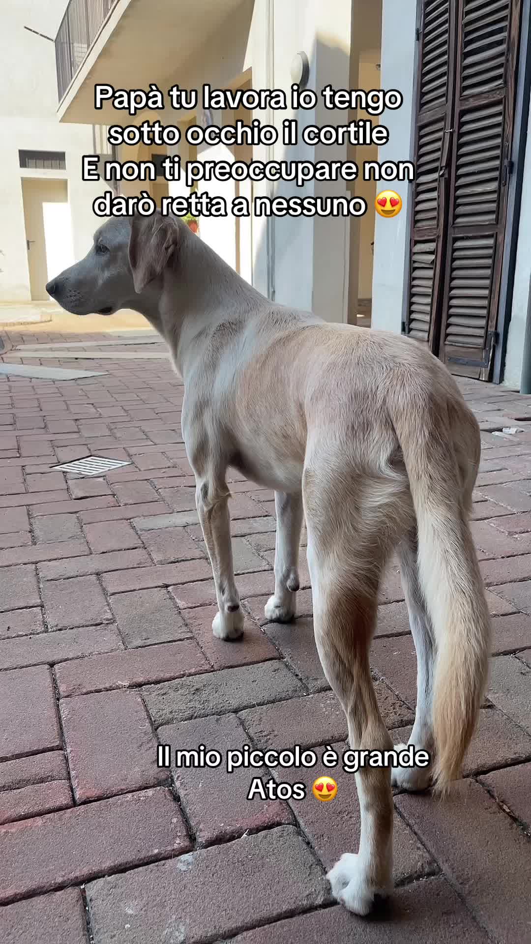 @KIRA❤️LEYLA💙