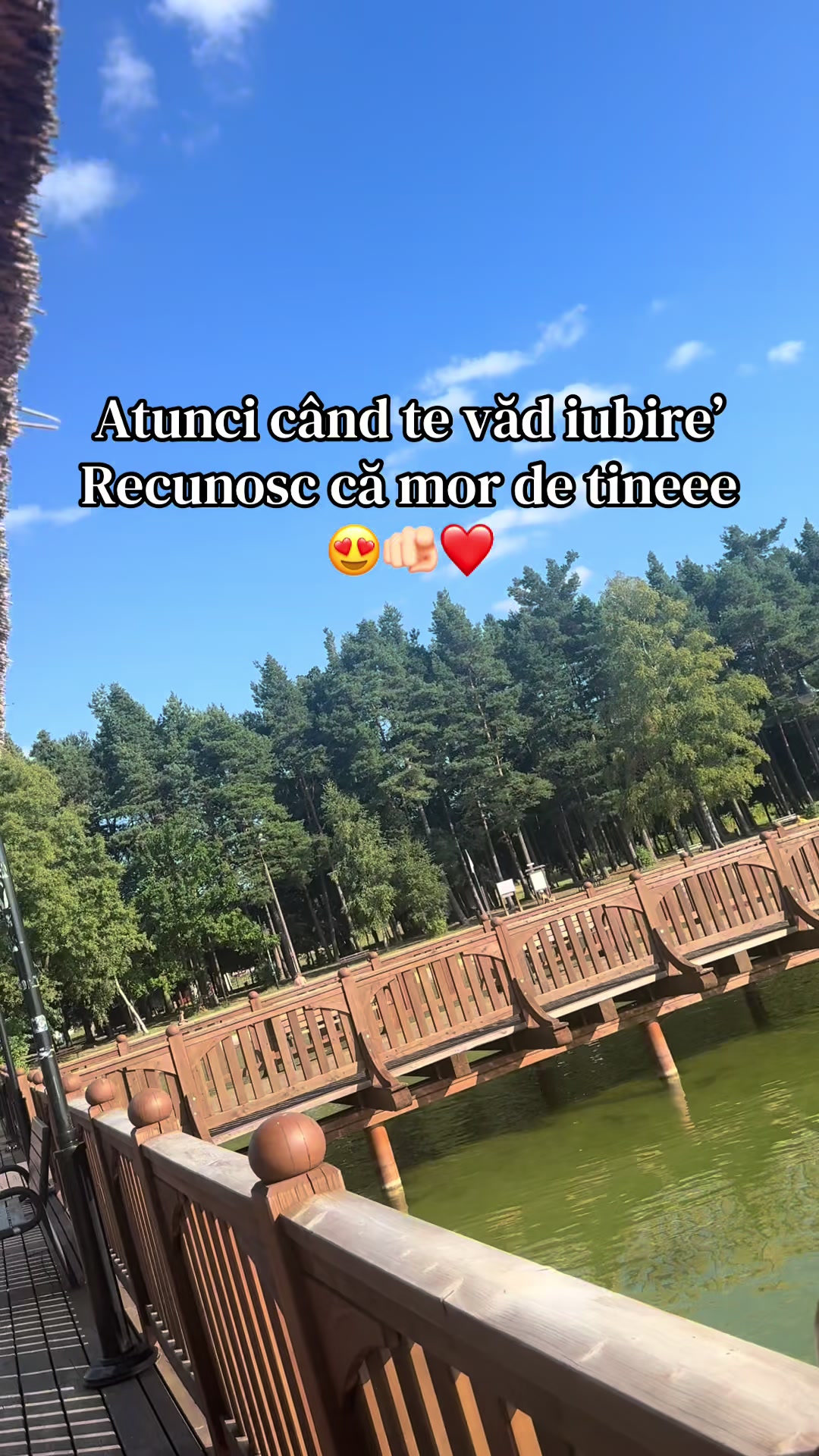 @💕🎶𝚁.𝚘.𝚜.𝚜.𝚎.𝟷𝟽🎶💕
