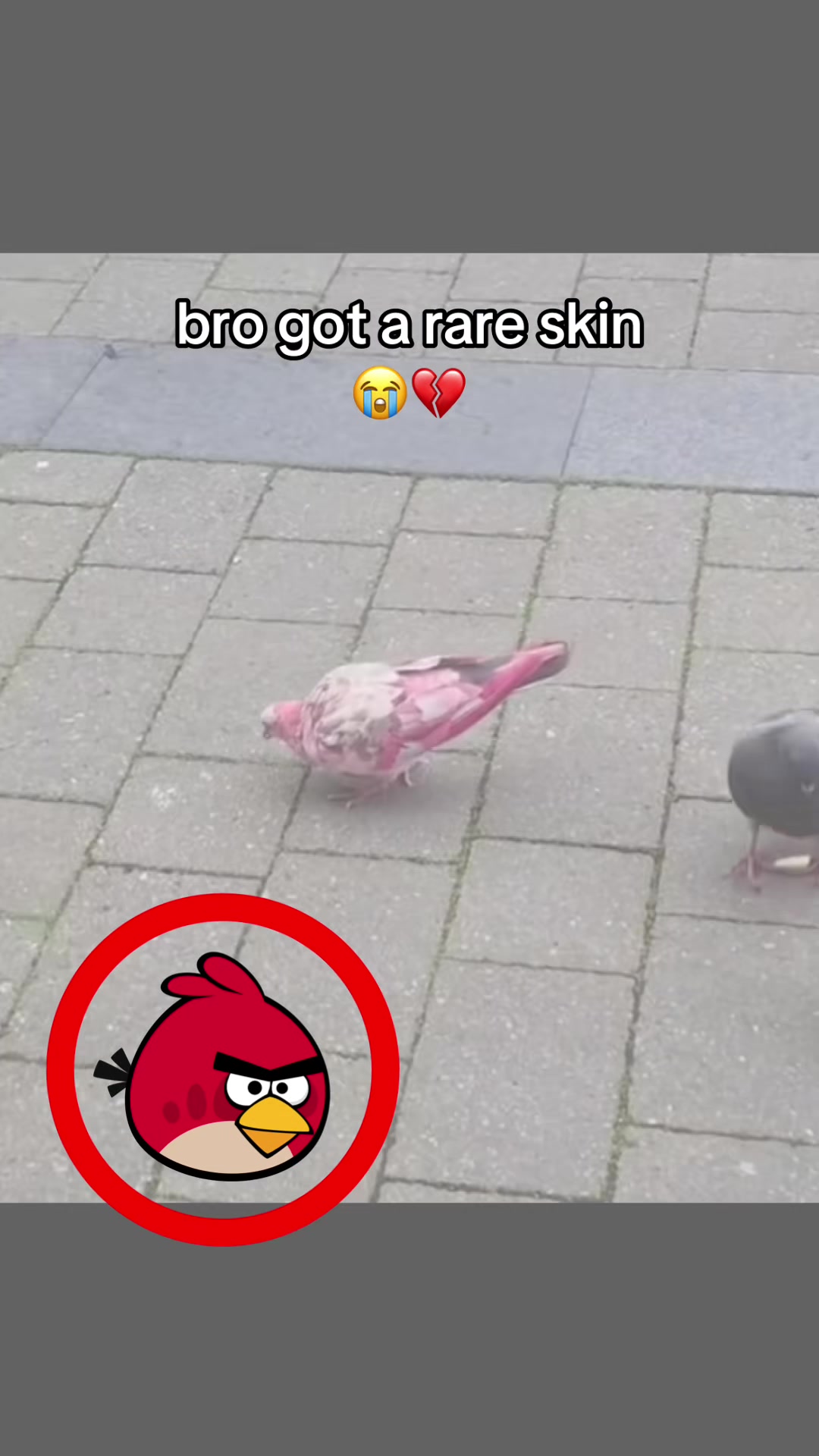 @bababooy1.2