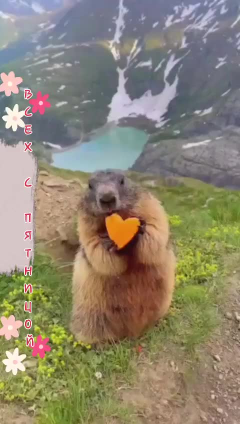 @GlaMurka🐈