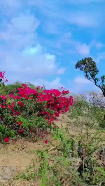 @MALIK  G   VISHAL