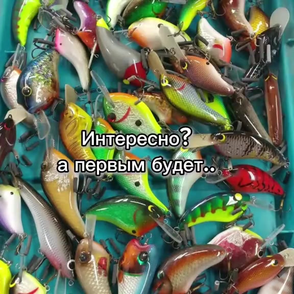 @19_vitalik_06