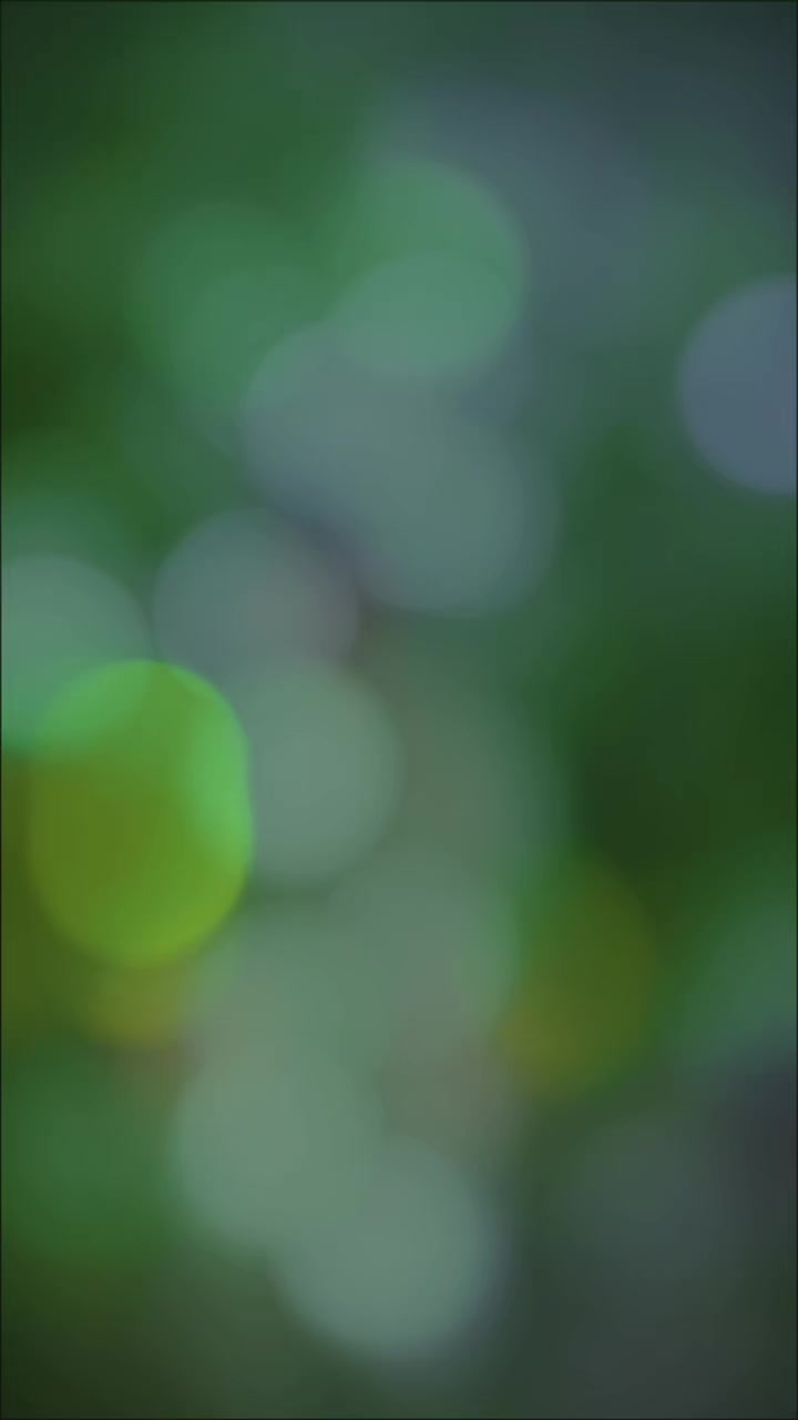 @ɪᴛs メ𝘍𝘢𝘻𝘪𝘪︵★