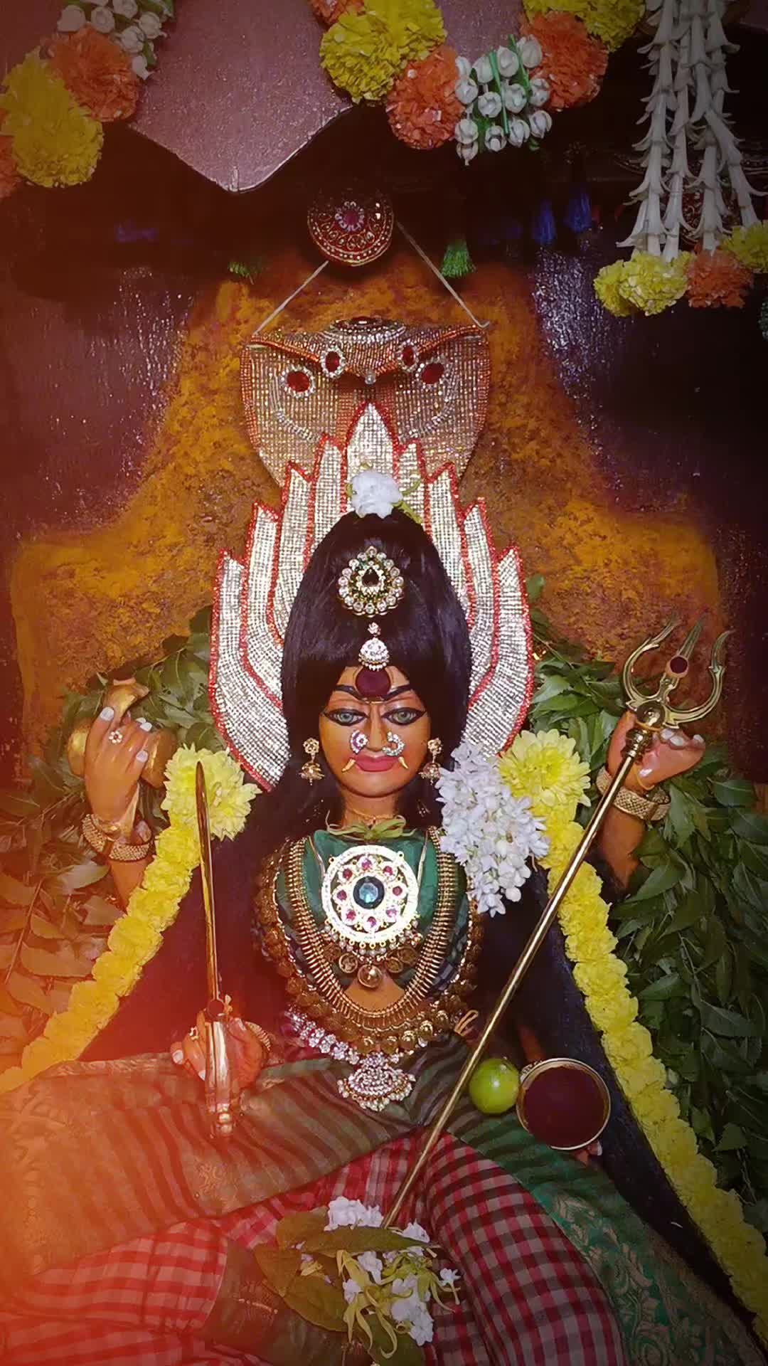 @Ashokkumar 11.11
