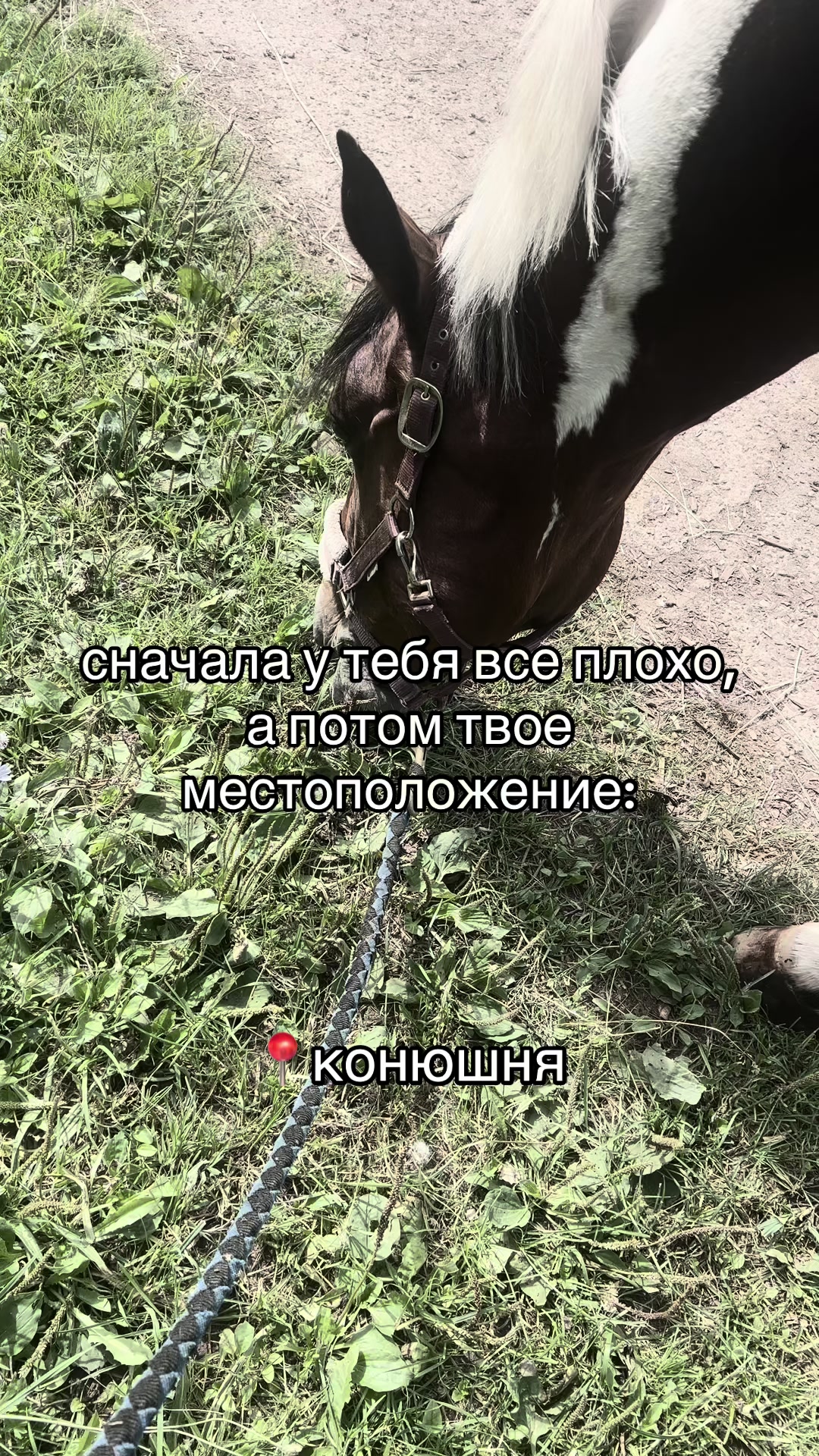 @Ли🐴