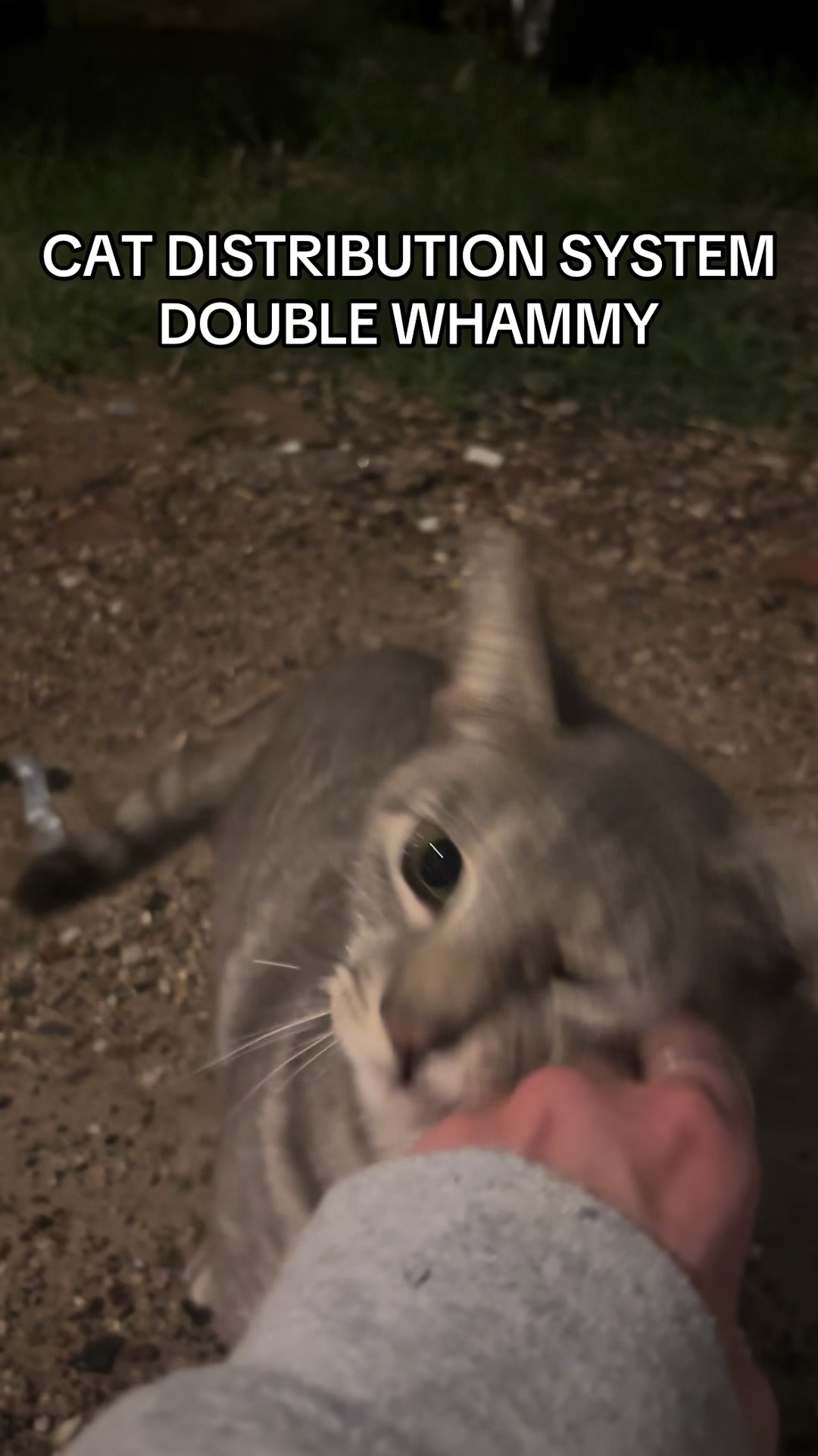 @Dazey Doom