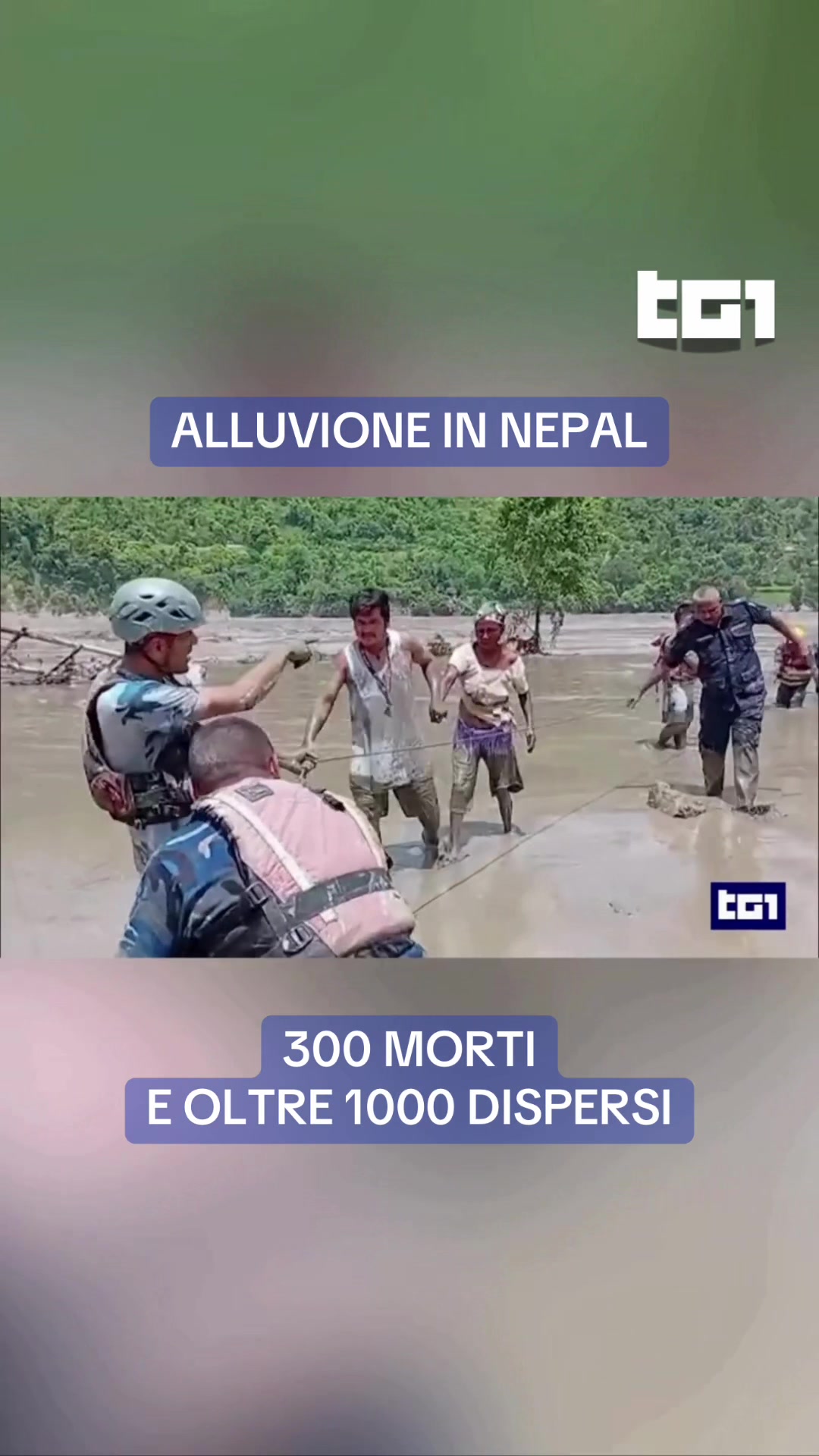 @Tg1Rai