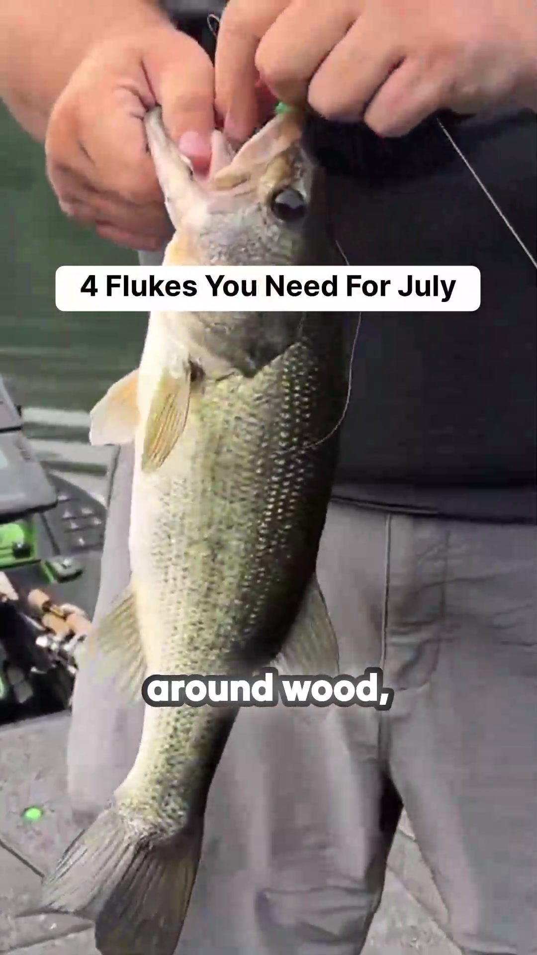 @bassgeek