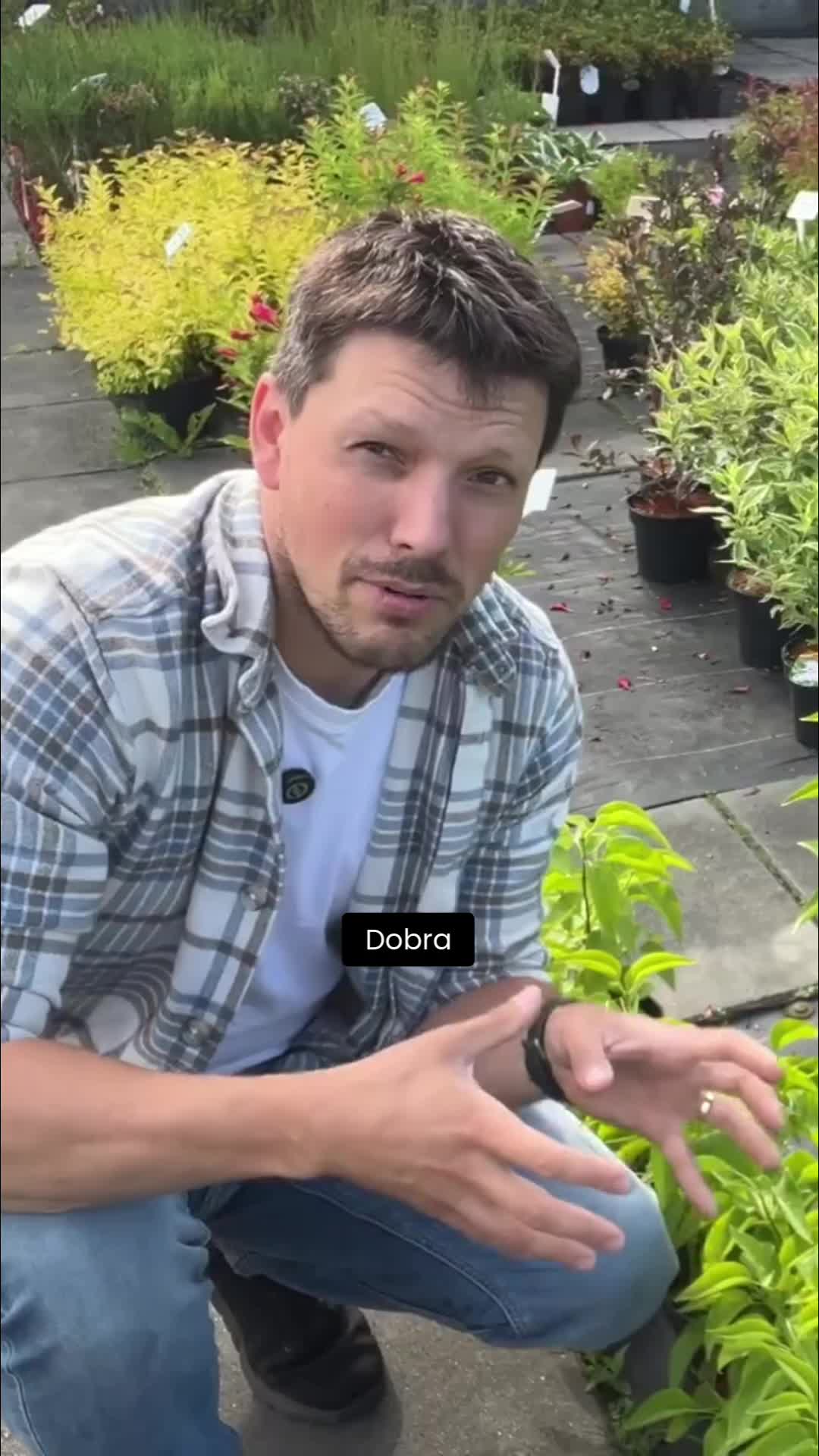 @Ogrodnik Doskonały
