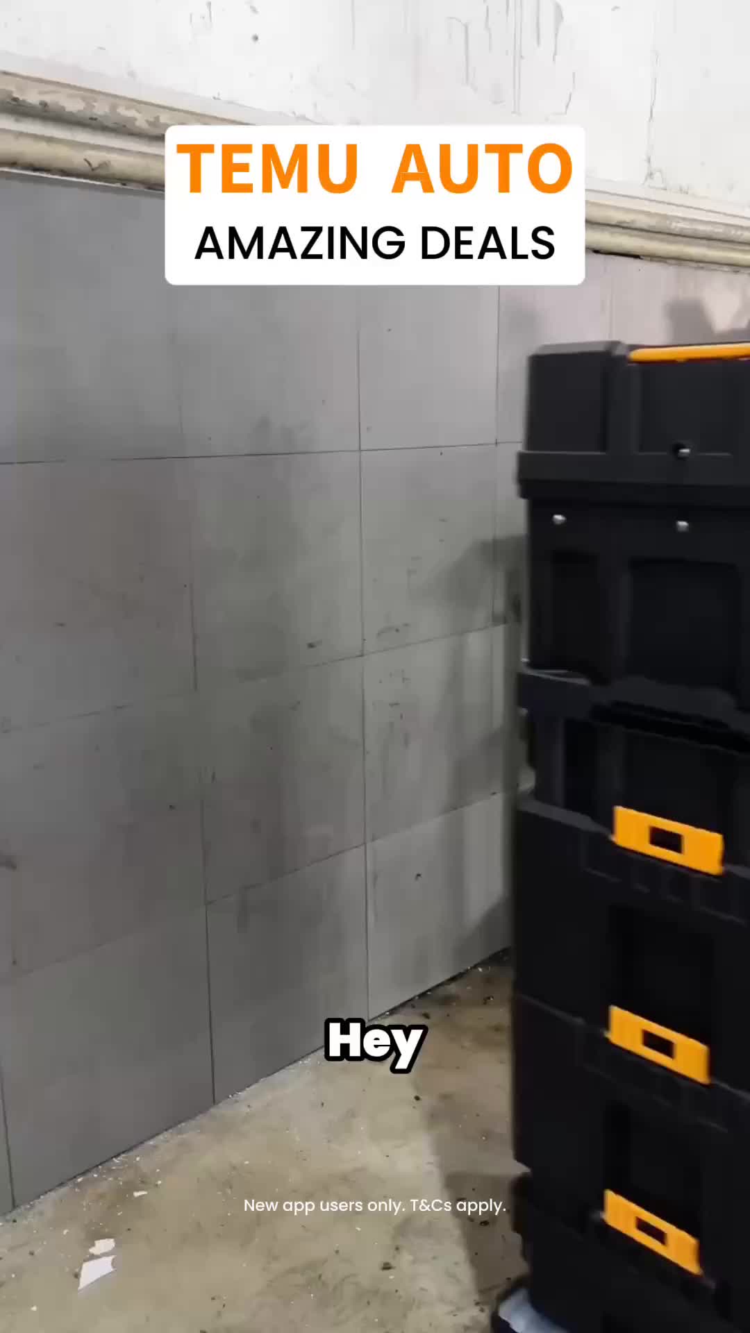 @mucindyfinds