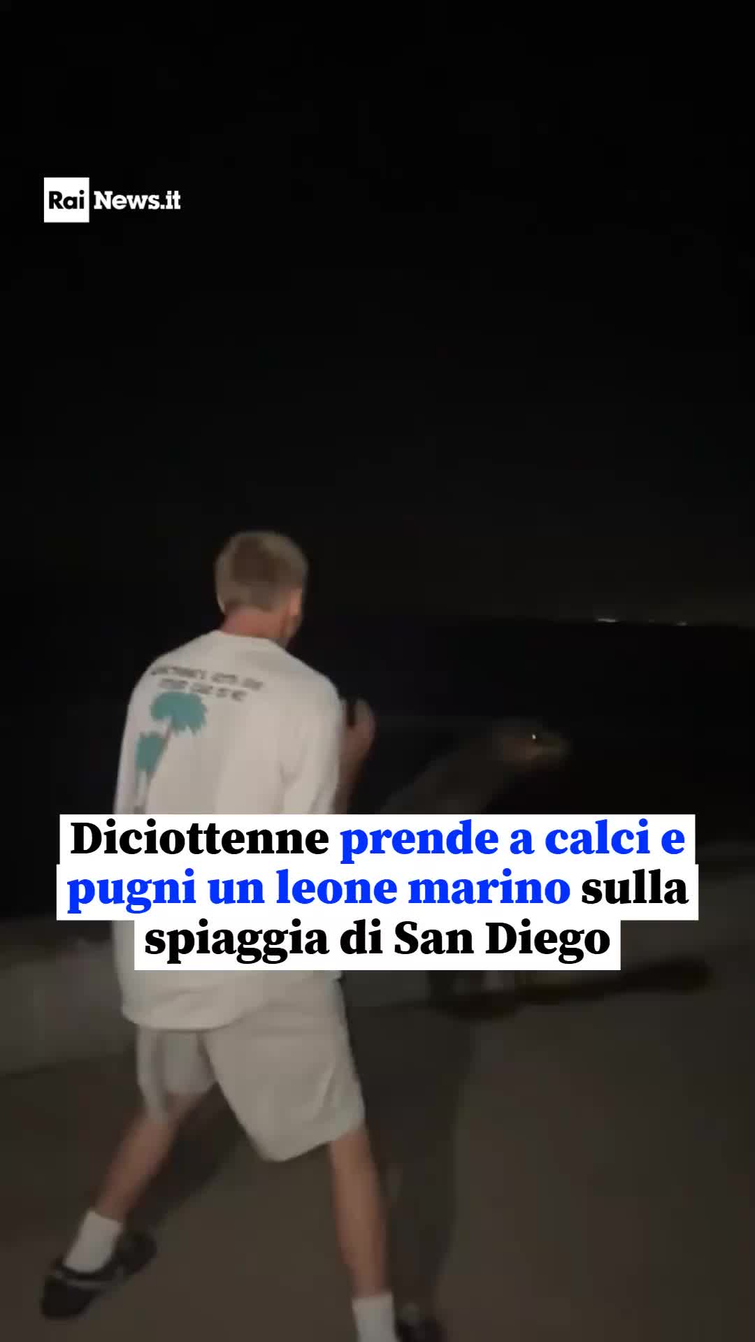 @RaiNews