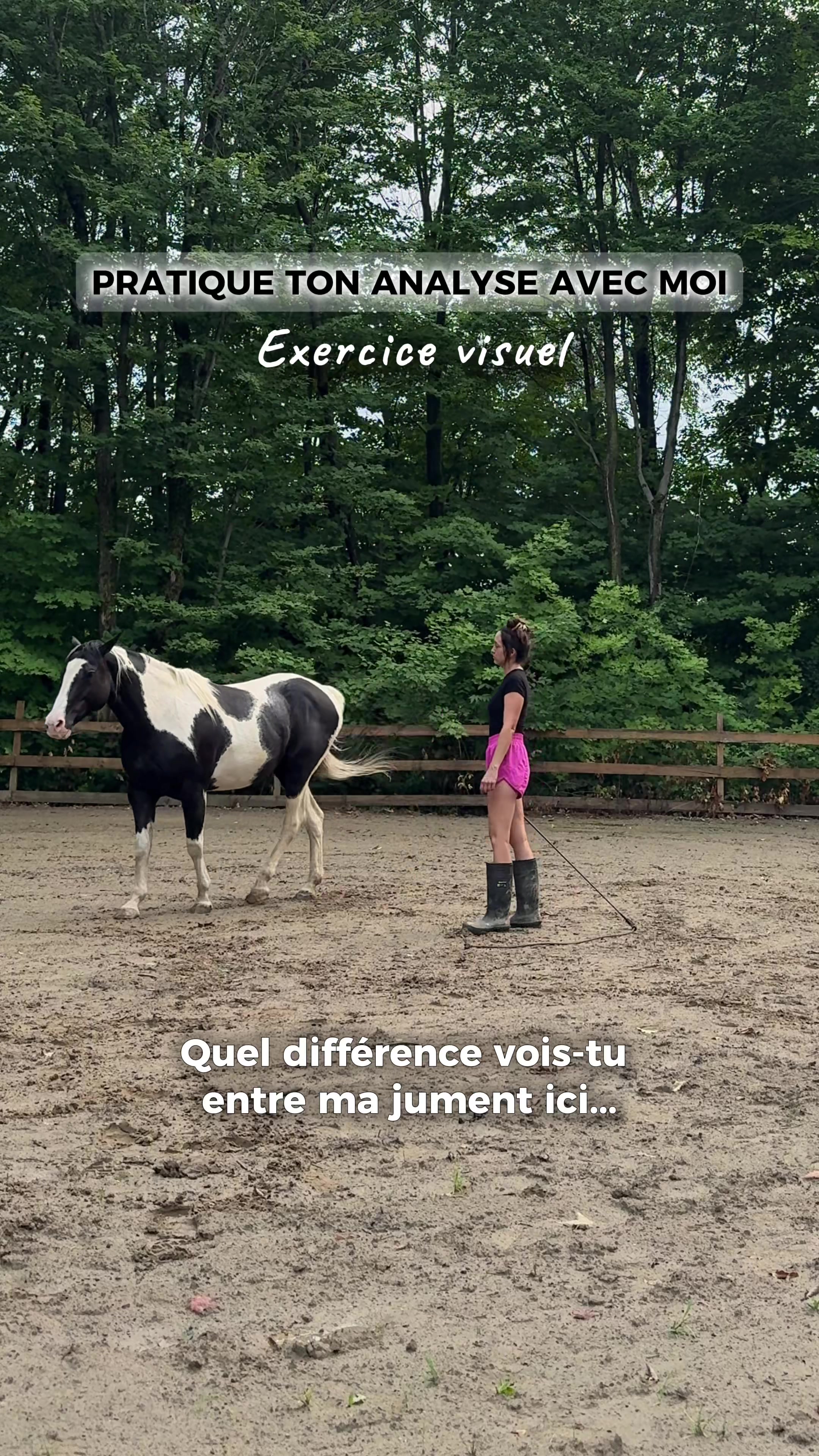@Rose-alie St-hilaire - Coach🐴