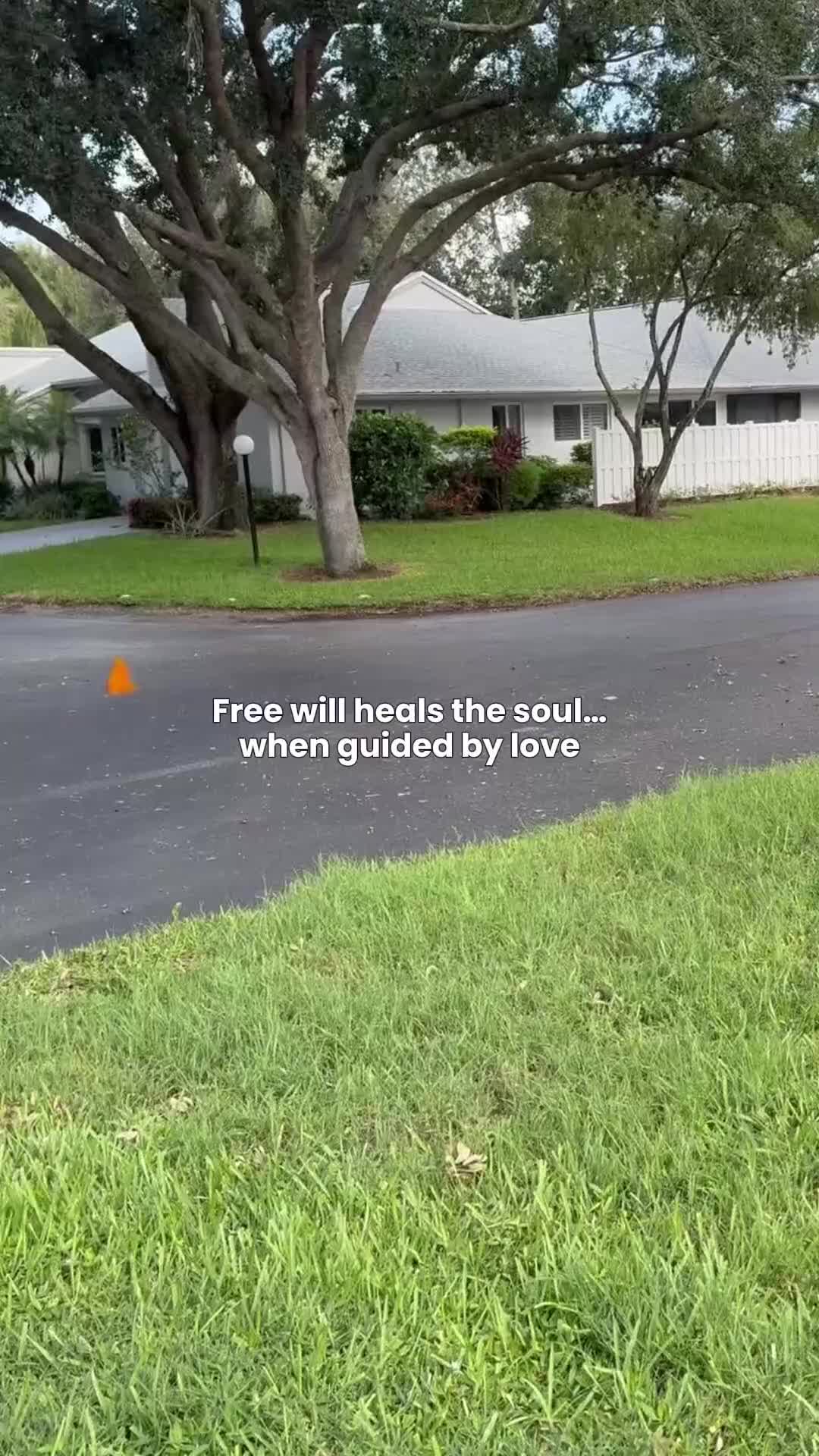 @Marc Healing Arts