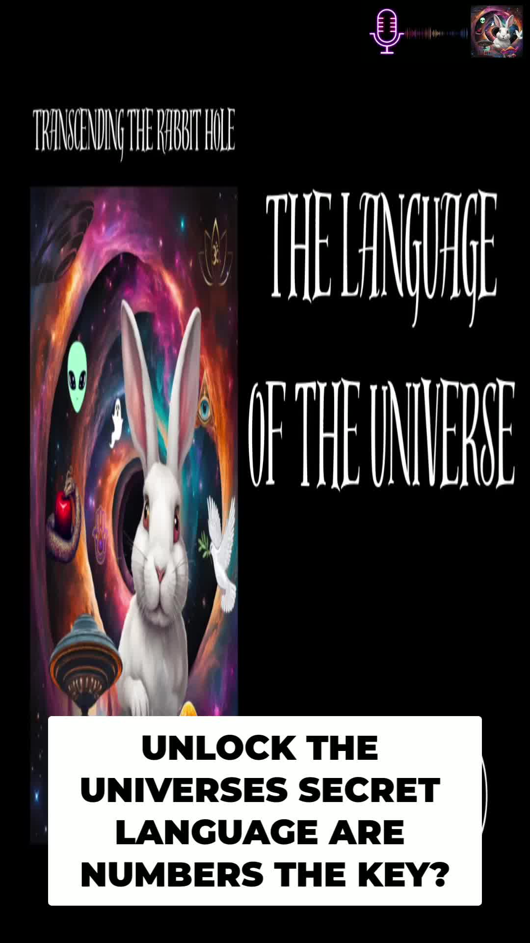 @transcending_rabbithole