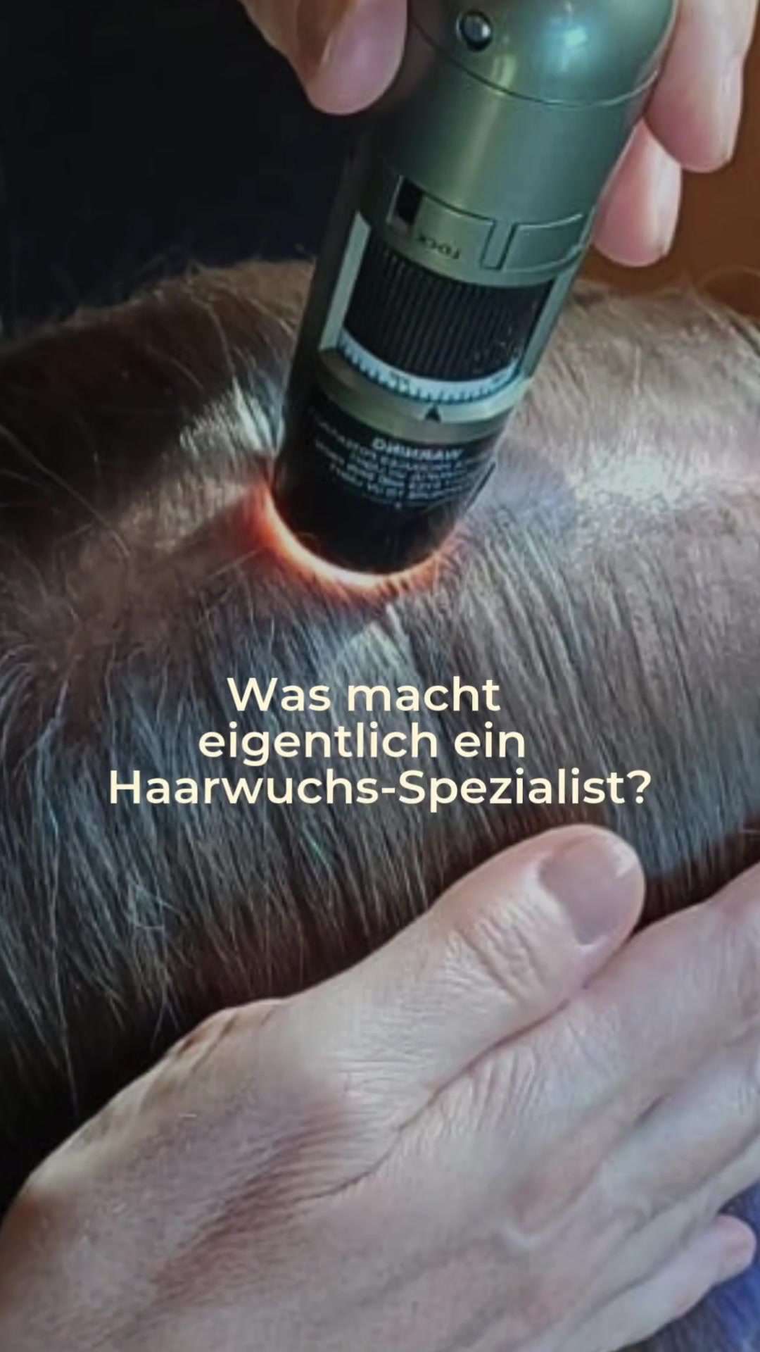 @Salon Fischer