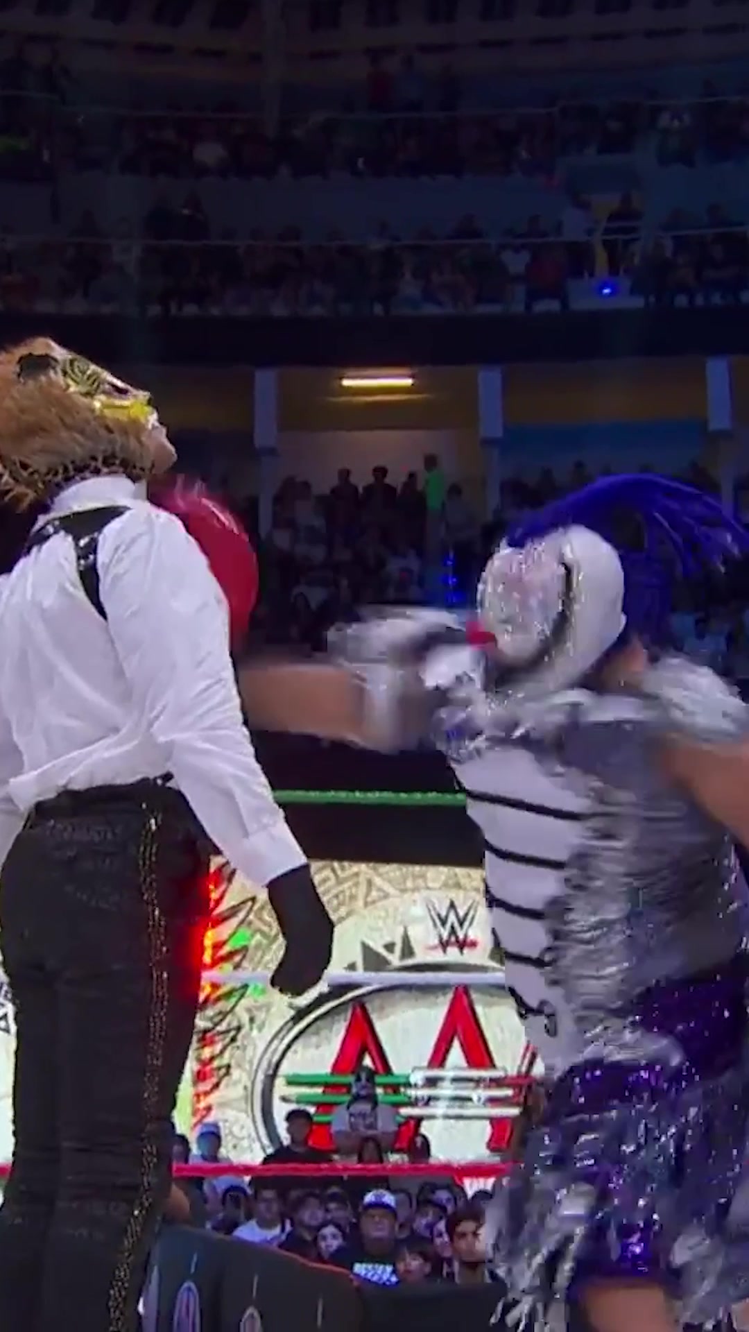 @Lucha Libre AAA