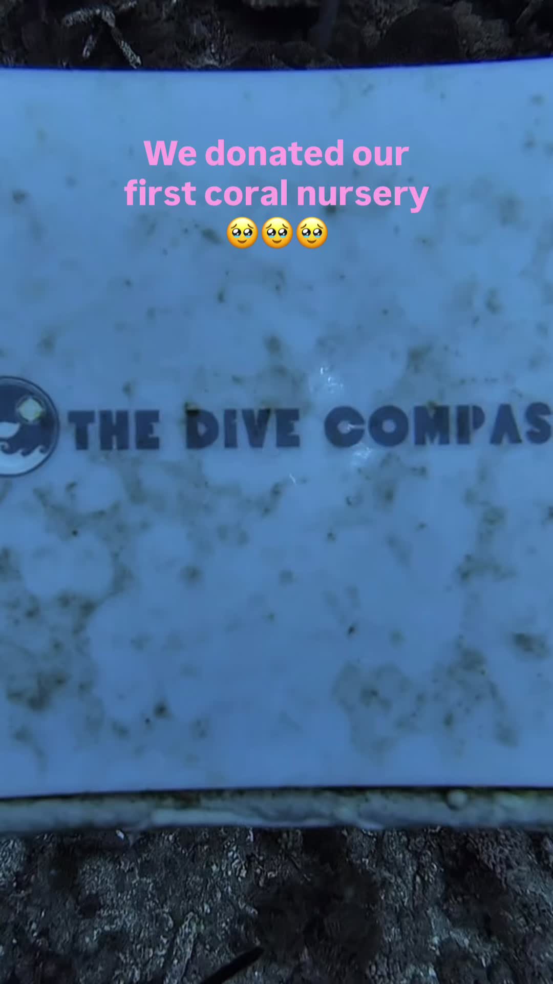 @The Dive Compass