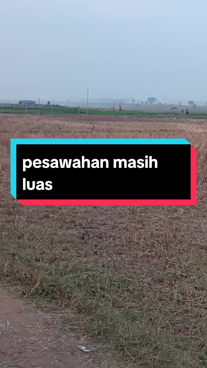 @badru salam