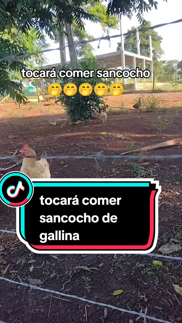 @Marisol 🧠🔱🇨🇴