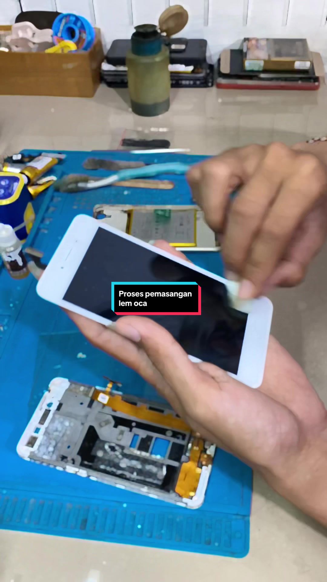 @Teratephone 📱
