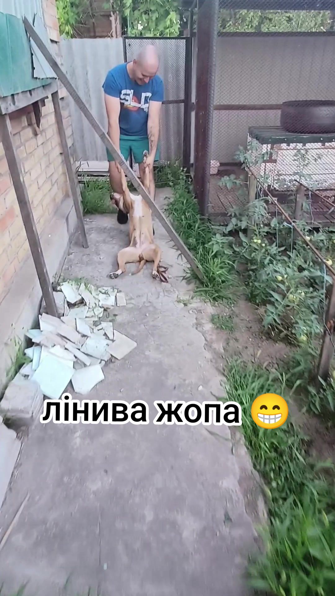 @AlexSawka