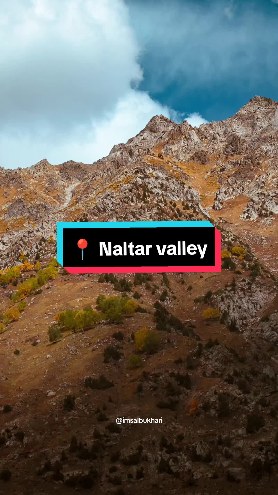 @Sal Bukhari