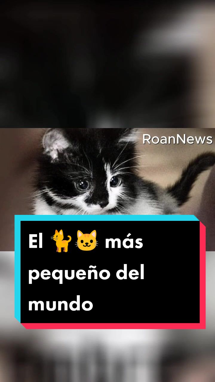 @RoanNews