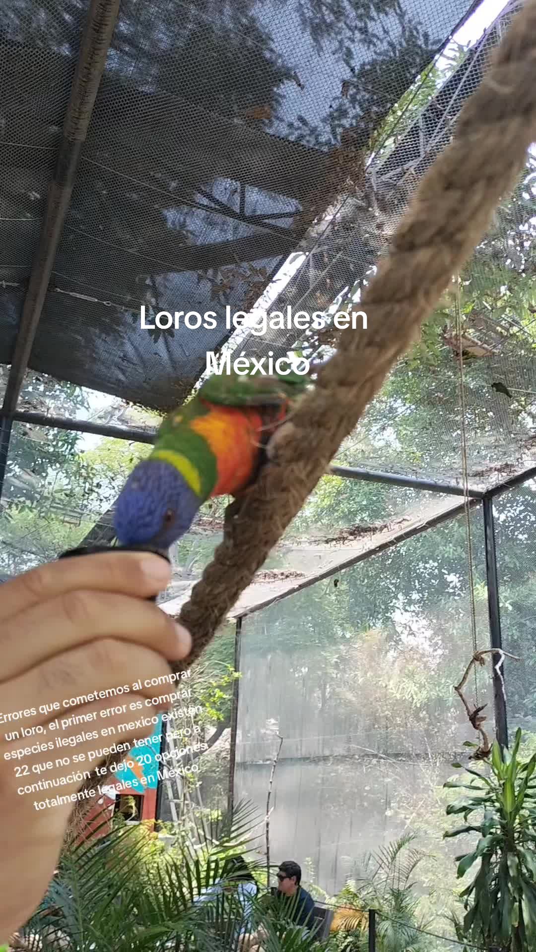 @Aviario FIFUS Guadalajara