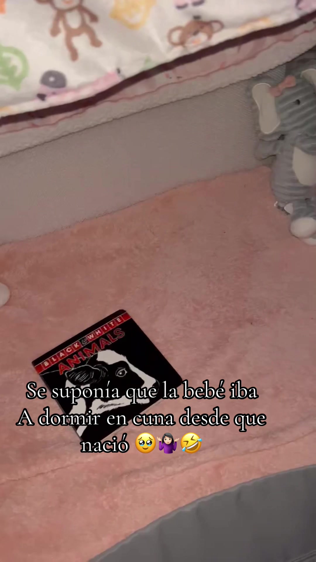 @Adriana🥀🦋