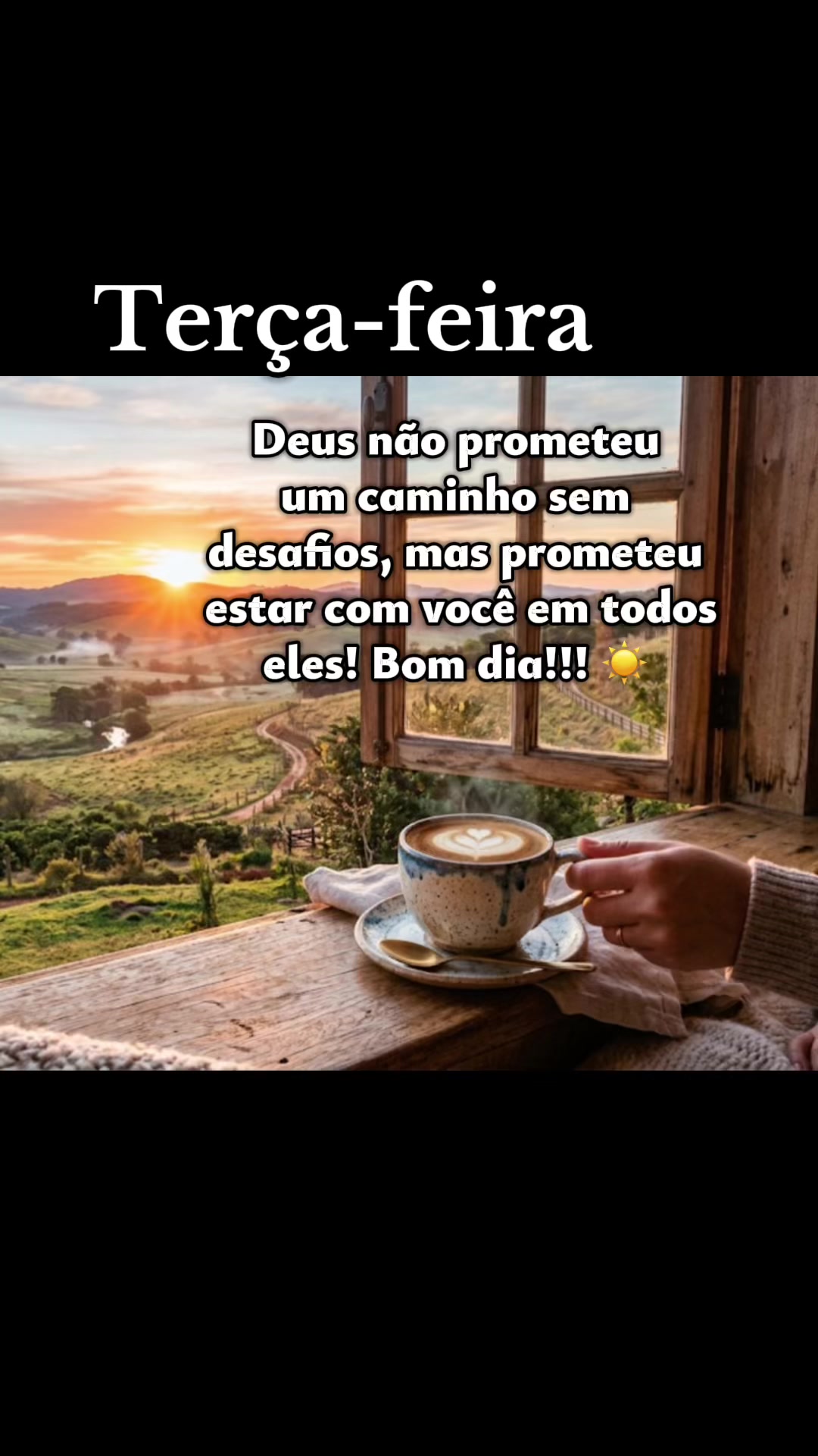 @reflexoesepensamentos1