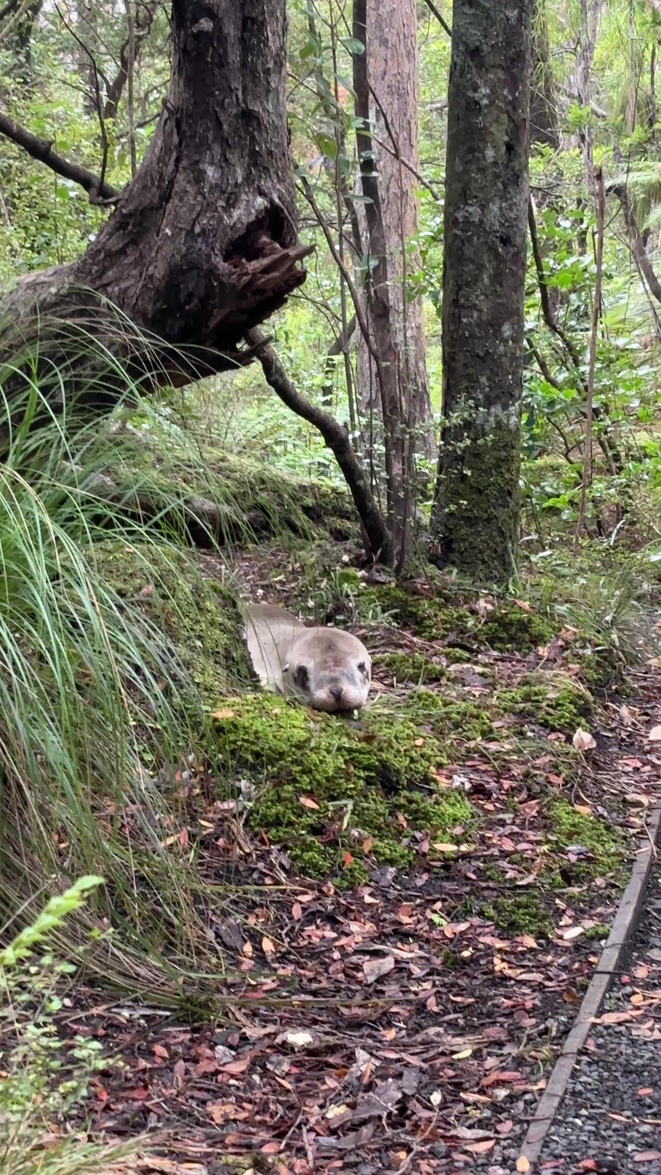 @Nature is Surreal