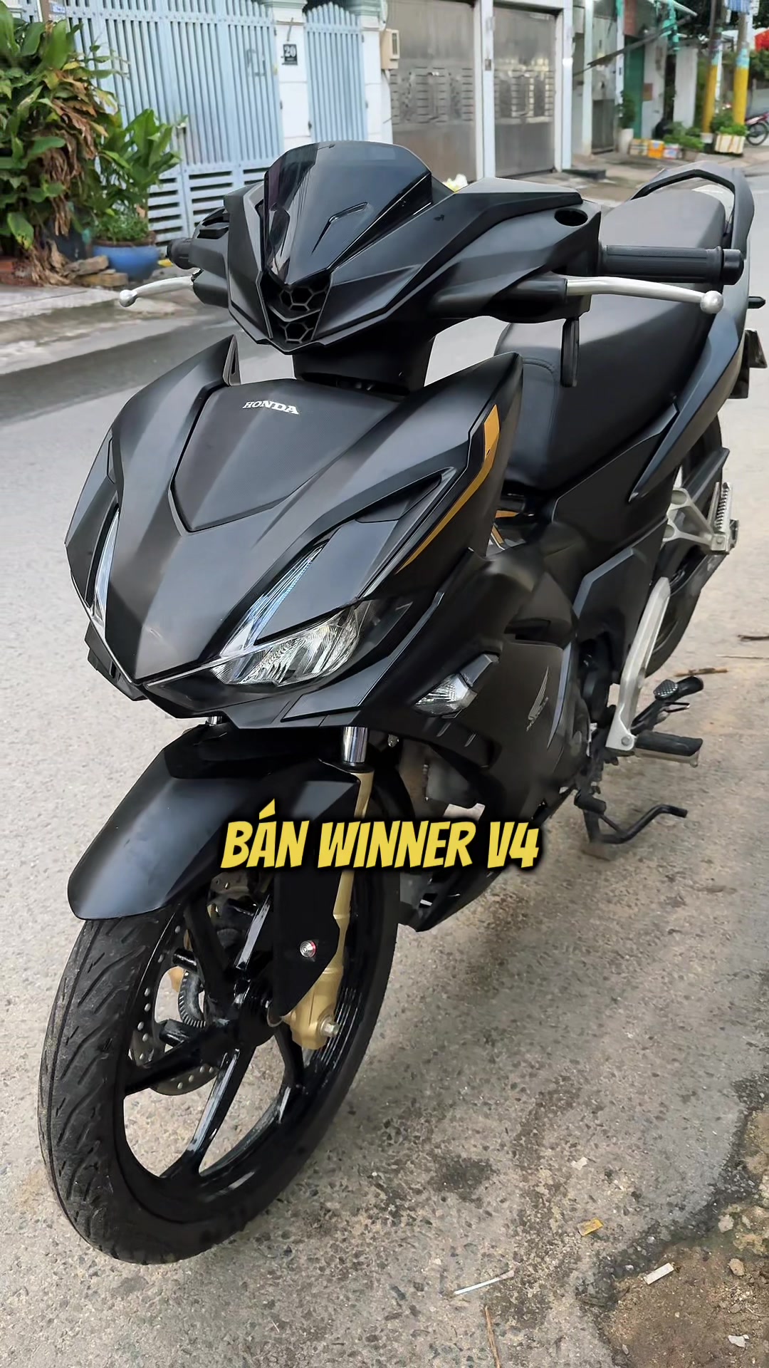 @Đạt Là 🇻🇳