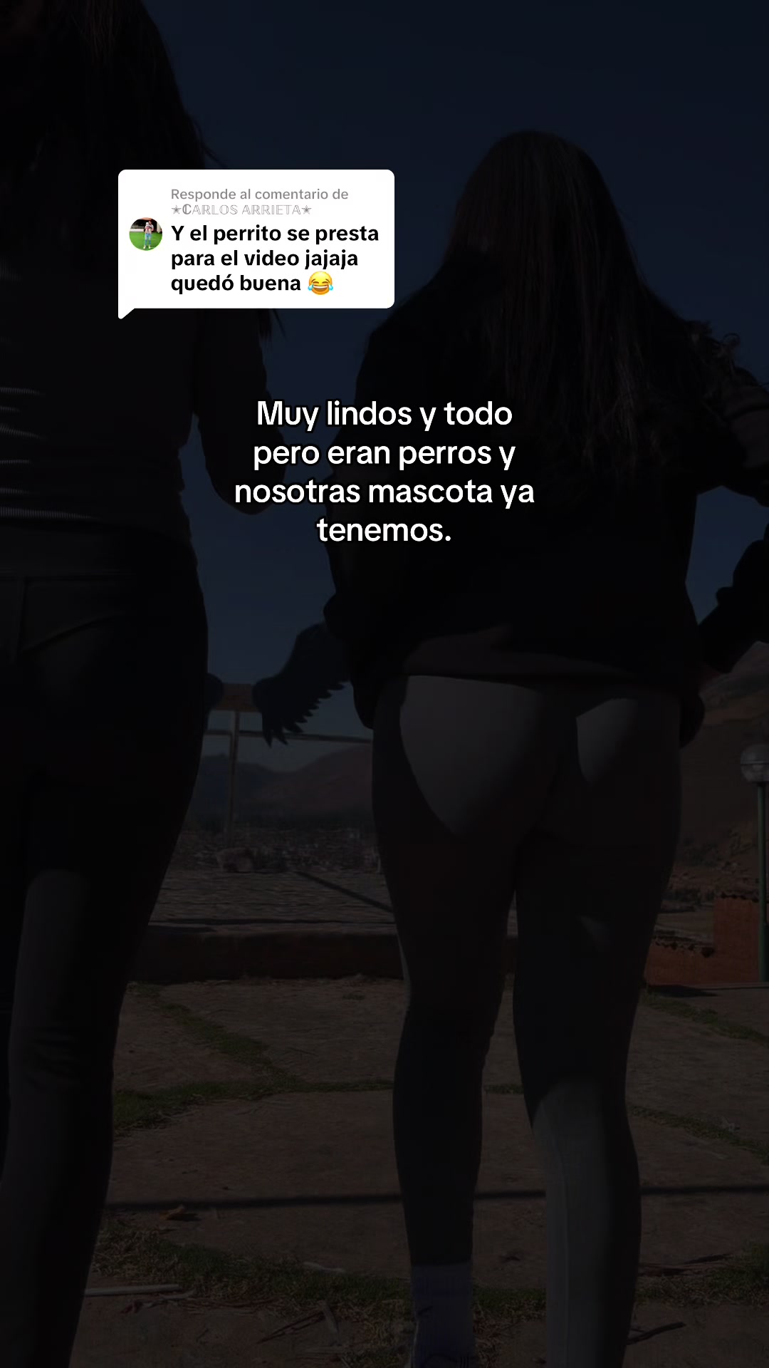 @Sari💙🐺