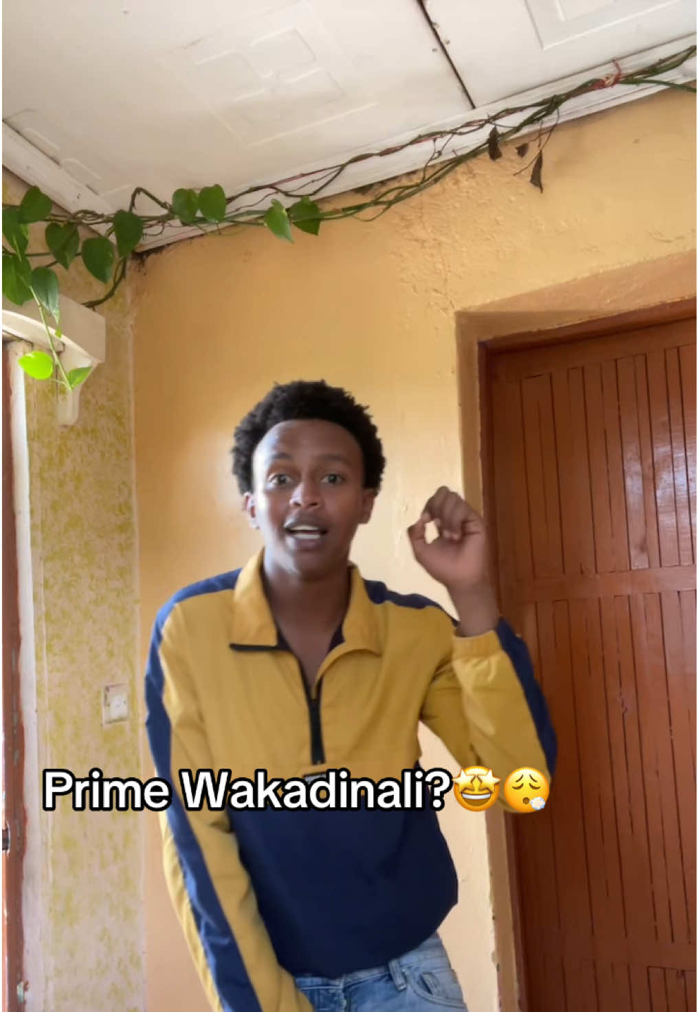 @MEITAMEI