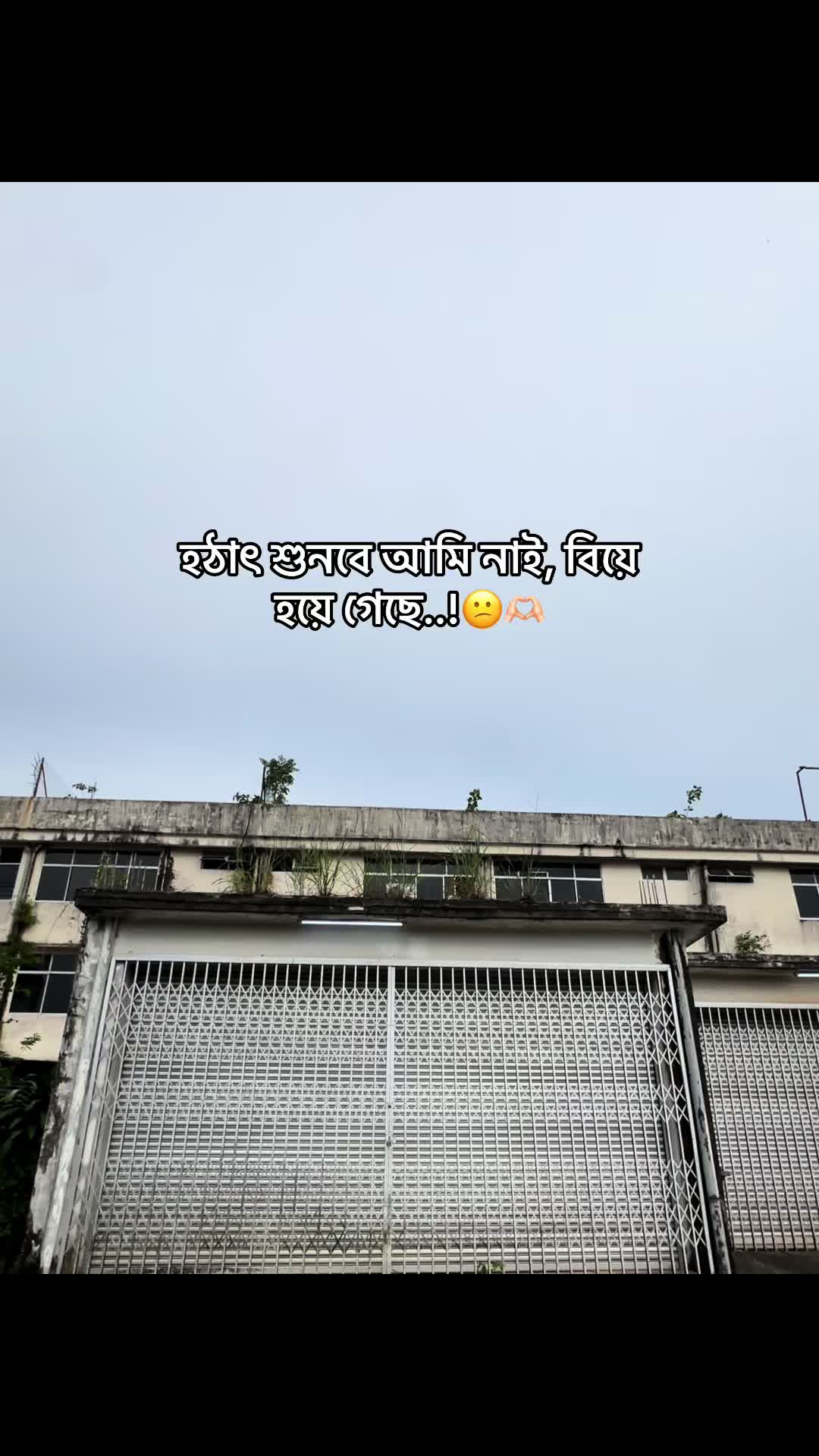 @đ° đĻ đ đ đ đ đ°'âĄ
