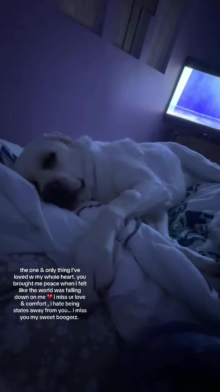 @kbaby<3