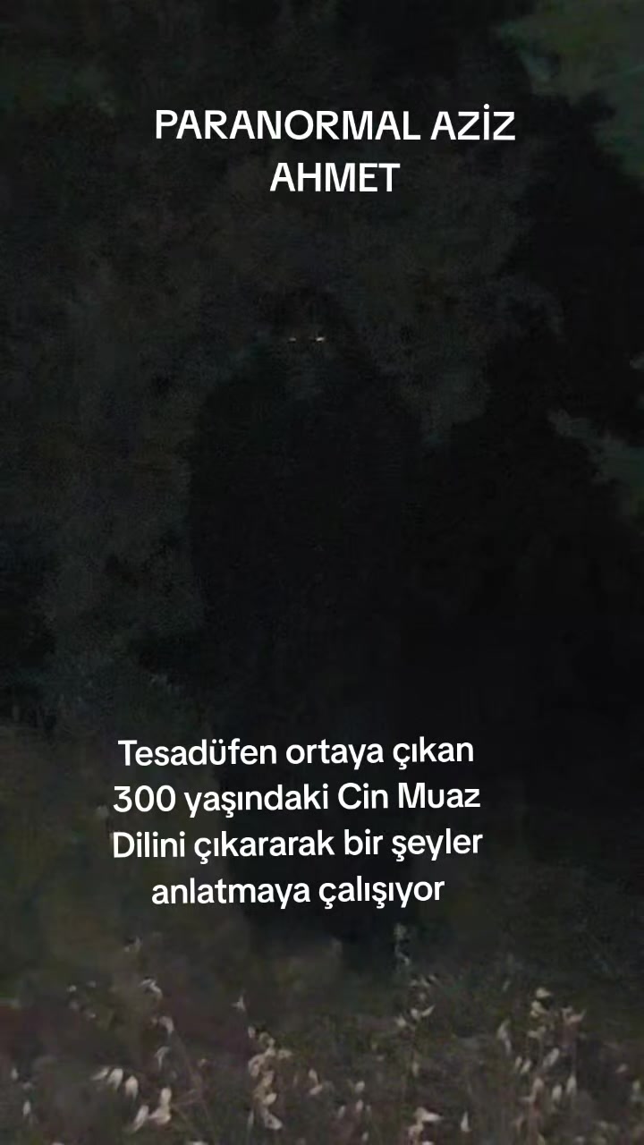 @BilalParanormalHBR