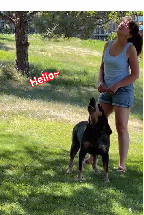 @PuckVibe