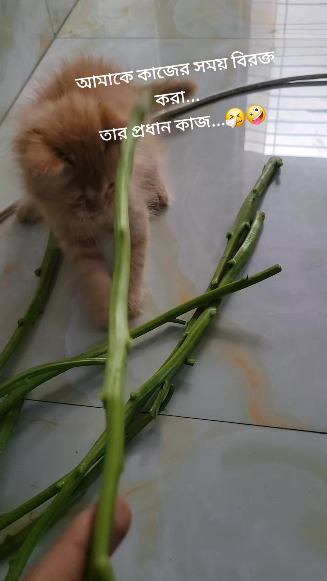 @নদী