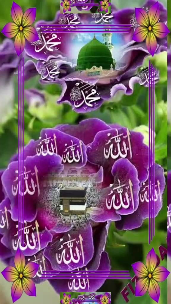 @Hina Malik
