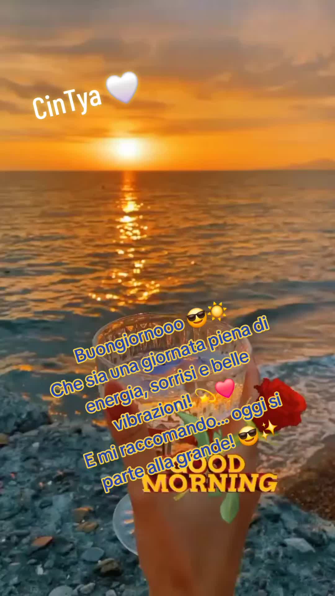 @Cintya P