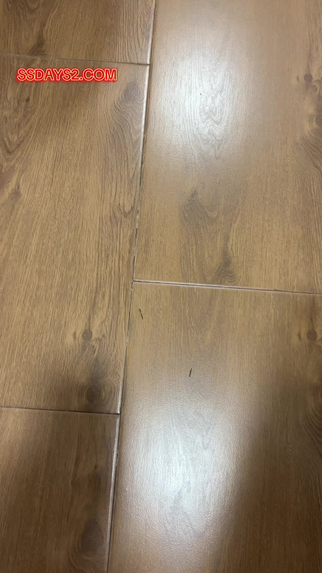 @T0mm-365