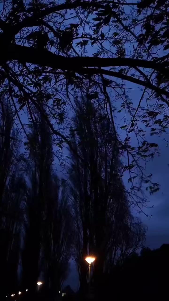 @Nature Vibes