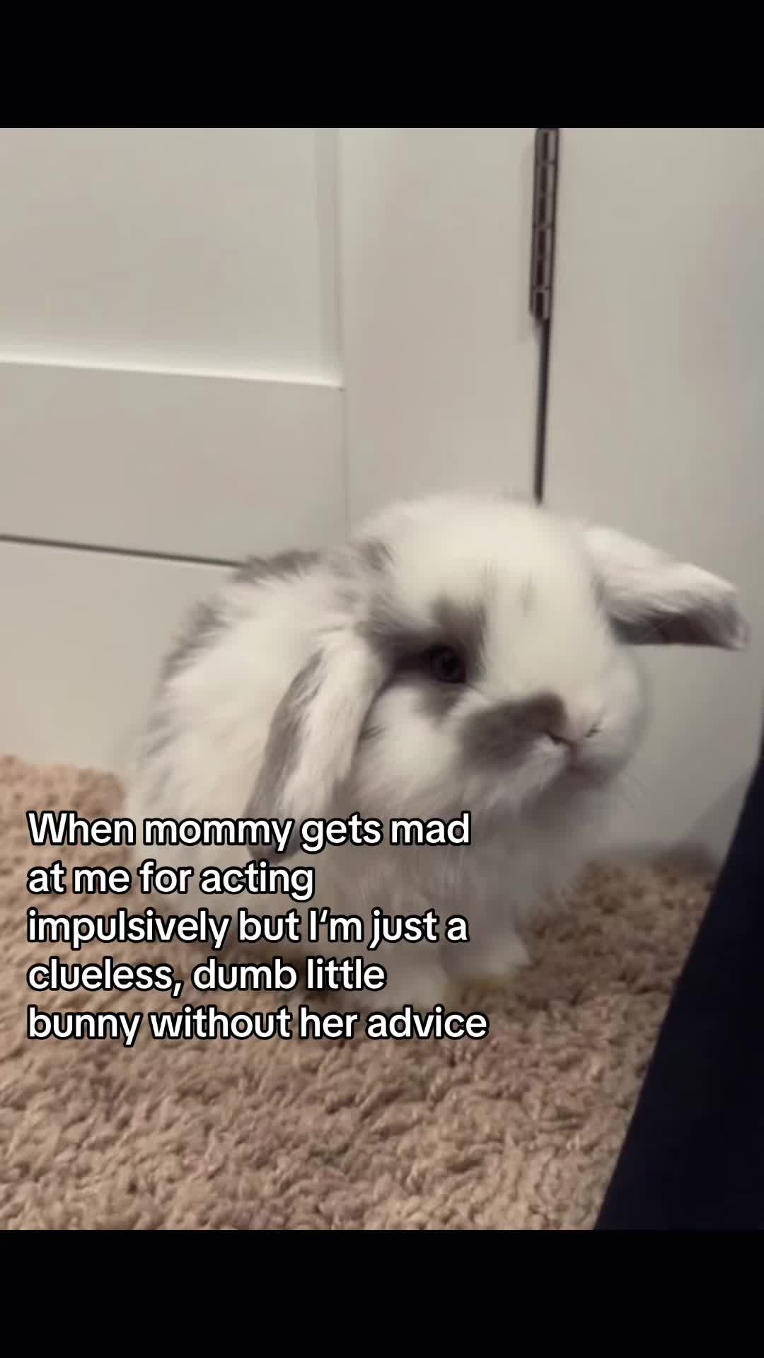 @Bunny
