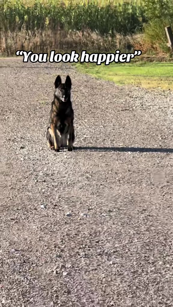 @K9 Dina