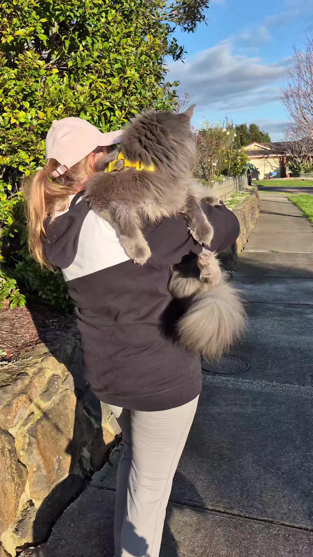 @Ragnar the Maine Coon 🐈