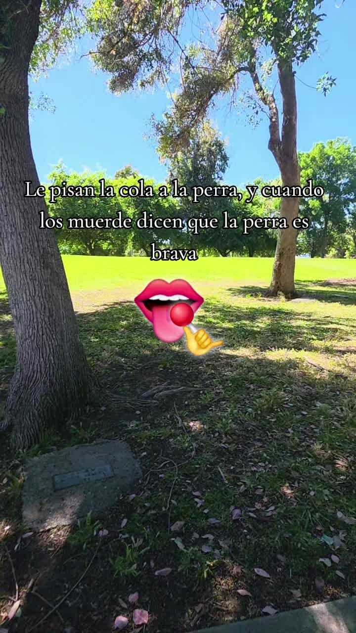 @Marce