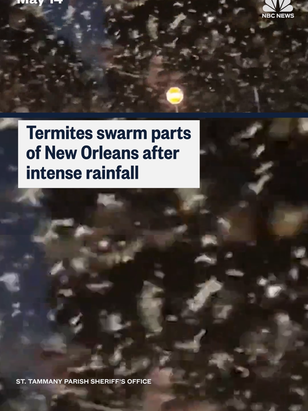 @nbcnews